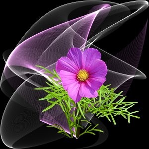 LA PETITE MARCHANDE DE FLEURS